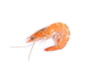 Boiled  shrimp on white background