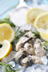 The Fresh Oyster with lemon and coriander