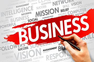 BUSINESS word cloud, business concept