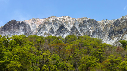 伯耆富士　大山　初夏の南壁