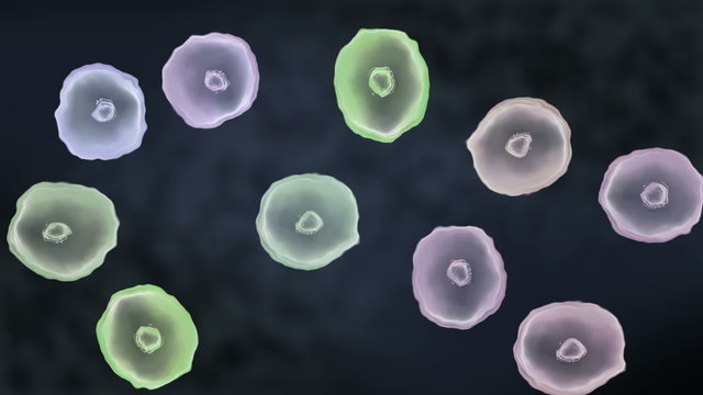 Abstract of cells in mitosis and multiplication for and biology