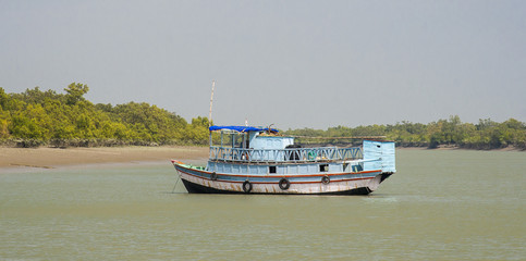 Fototapeta na wymiar The Sundarbans