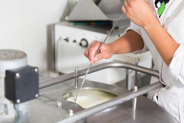 Craft making cheese