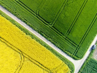 Fototapete Rund Luftbild - Ackerbau, Raps- und Getreidefelder mit Feldwegen,  © Countrypixel