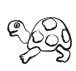 doodle turtle