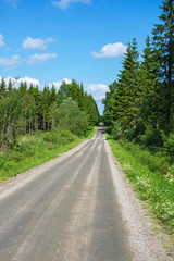 Fototapeta na wymiar Gravel road through the forest