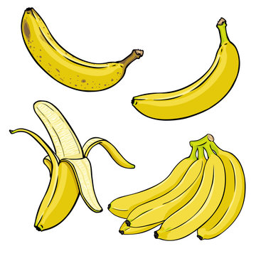 Vector Set of Cartoon Yellow Bananas