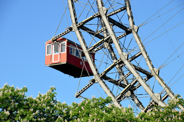 Wiener Riesenrad Waggon über blühendem Kastanienbaum