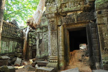 Ta Prohm Temple of Angkor Thom in Cambodia