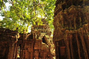 Fototapeta premium Ta Prohm Temple of Angkor Thom in Cambodia