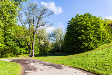 spring landscape Sophia Park