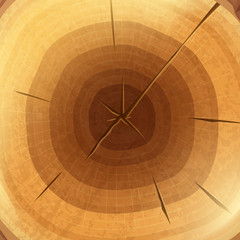 Wood cross section background wallpaper