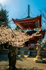 Japońska świątynia w Kioto