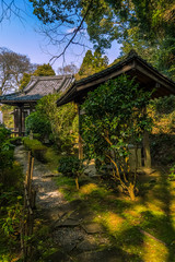 Japońska świątynia w lesie