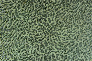 The fabric on striped leopard for background