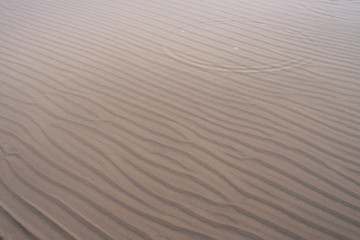 Wave-shaped sand and shallow water on beach in winter