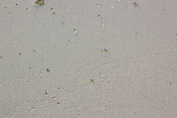 Sand background