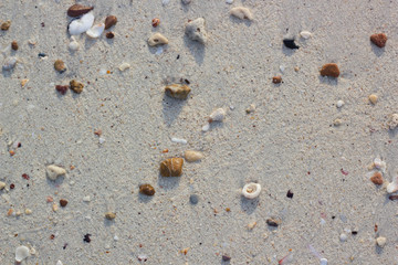 Fototapeta na wymiar Sand and pebble, summer background