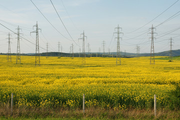 power lines