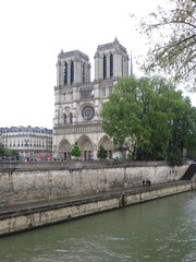 Fototapeta na wymiar Cathédrale Notre-Dame avec la Seine 