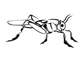 Grasshopper Tattoo White Background