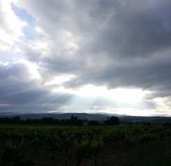 Obraz premium Rayon de soleil