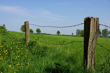 Kaputter Weidezaun auf der grünen Wiese © DieWerbebauer.de