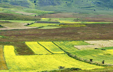 Piano Grande di Castelluccio (Italy)