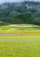 Piano Grande di Castelluccio (Italy)