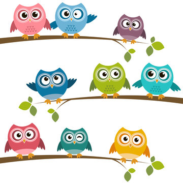 Set of colorful cartoon owls on branches
