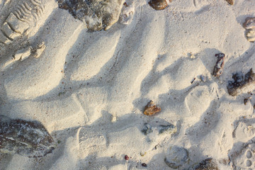 Sand background, close up of sand and small rock