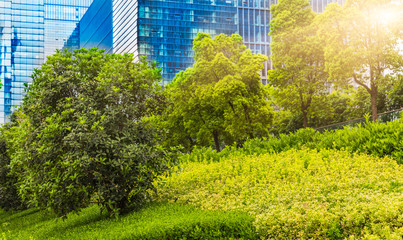 green garden in city