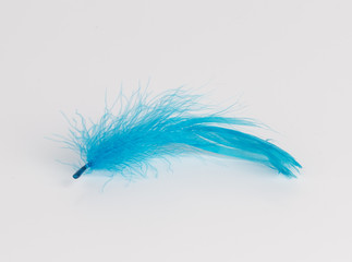 Bright feather - Stock Image.