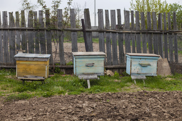 beehives in a kitchen garden