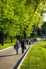 дорожка в сквере