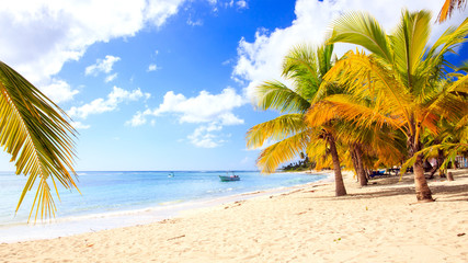 Naklejka na ściany i meble Caribbean beach in Dominican Republic
