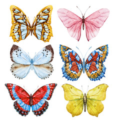 Watercolor butterflies