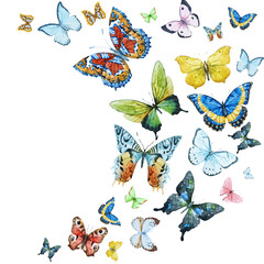 Watercolor butterflies