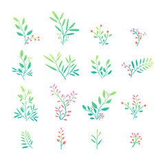 Set of plant elements. Bouquets, kits, ornaments of grass, twigs