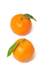 Clementine orange