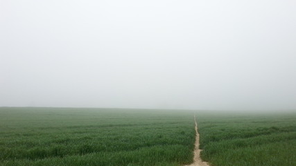 Weg ins Nichts