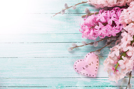 Background with fresh flowers hyacinths and decorative heart