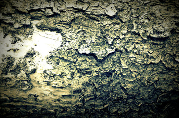 Wood texture