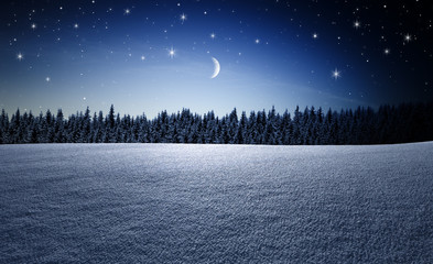 Mondnacht im Winter