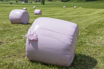 Zu Rundballen gepresstes Heu, Obwalden, Schweiz