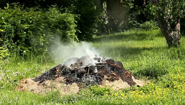 Feu et jardinage 4