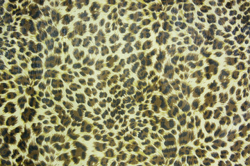 Leopard spots background