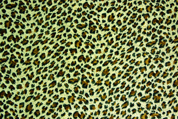 Leopard spots background