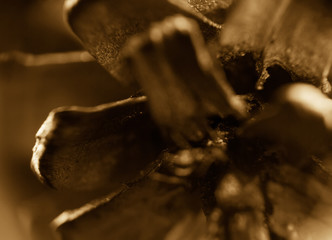 Supermacro of Christmas Decorations