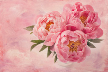 Peony flowers © Elena Schweitzer